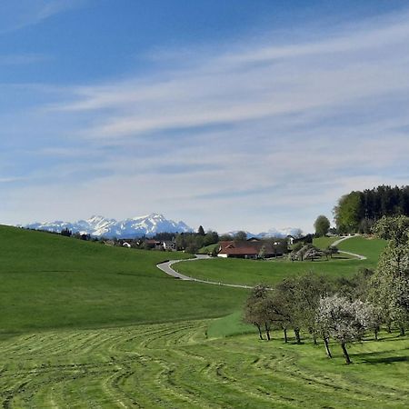 Ferienwohnung Pusteblume Neukirch  Екстериор снимка